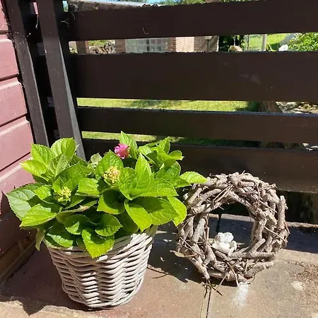 Ferienhaus Spessart Hygge Rothenbuch
