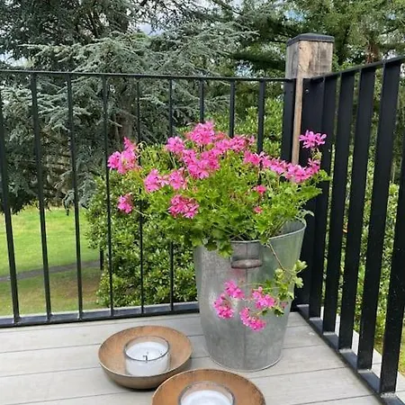 Spessart Hygge Rothenbuch